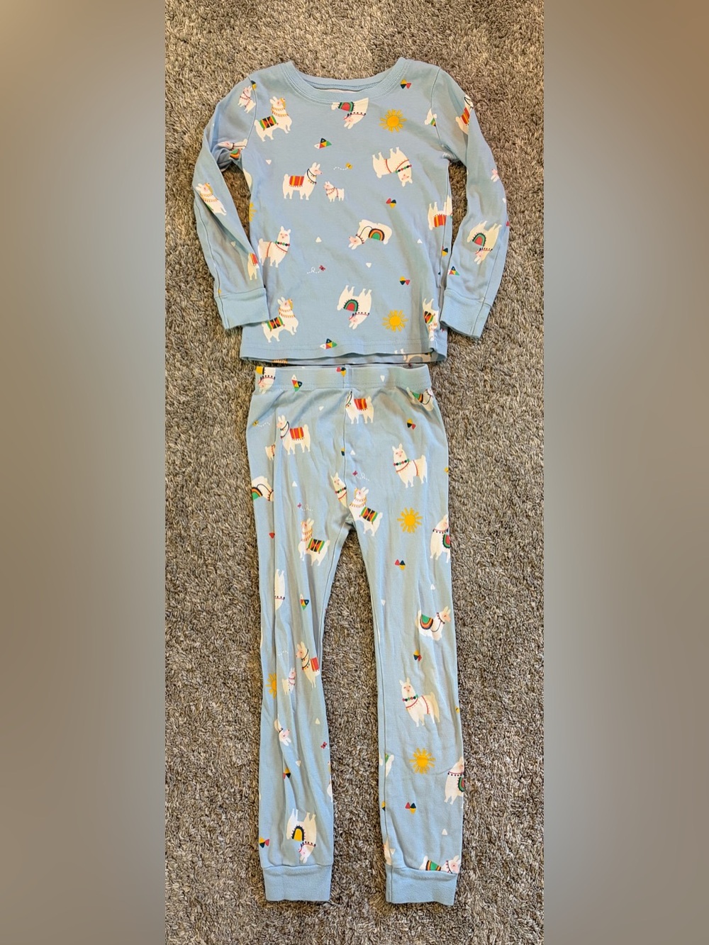Girl’s Light Blue Llama Print Pajama Set 6T
